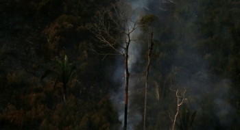 Operação Verde Brasil aplicou quase R$ 100 milhões em multas na Amazônia